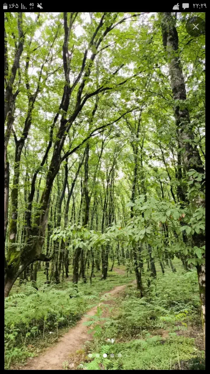 راهنمایی  در مورد خونه روستایی|فعالیت داوطلبانه تحقیقاتی|احمدسرگوراب, |دیوار