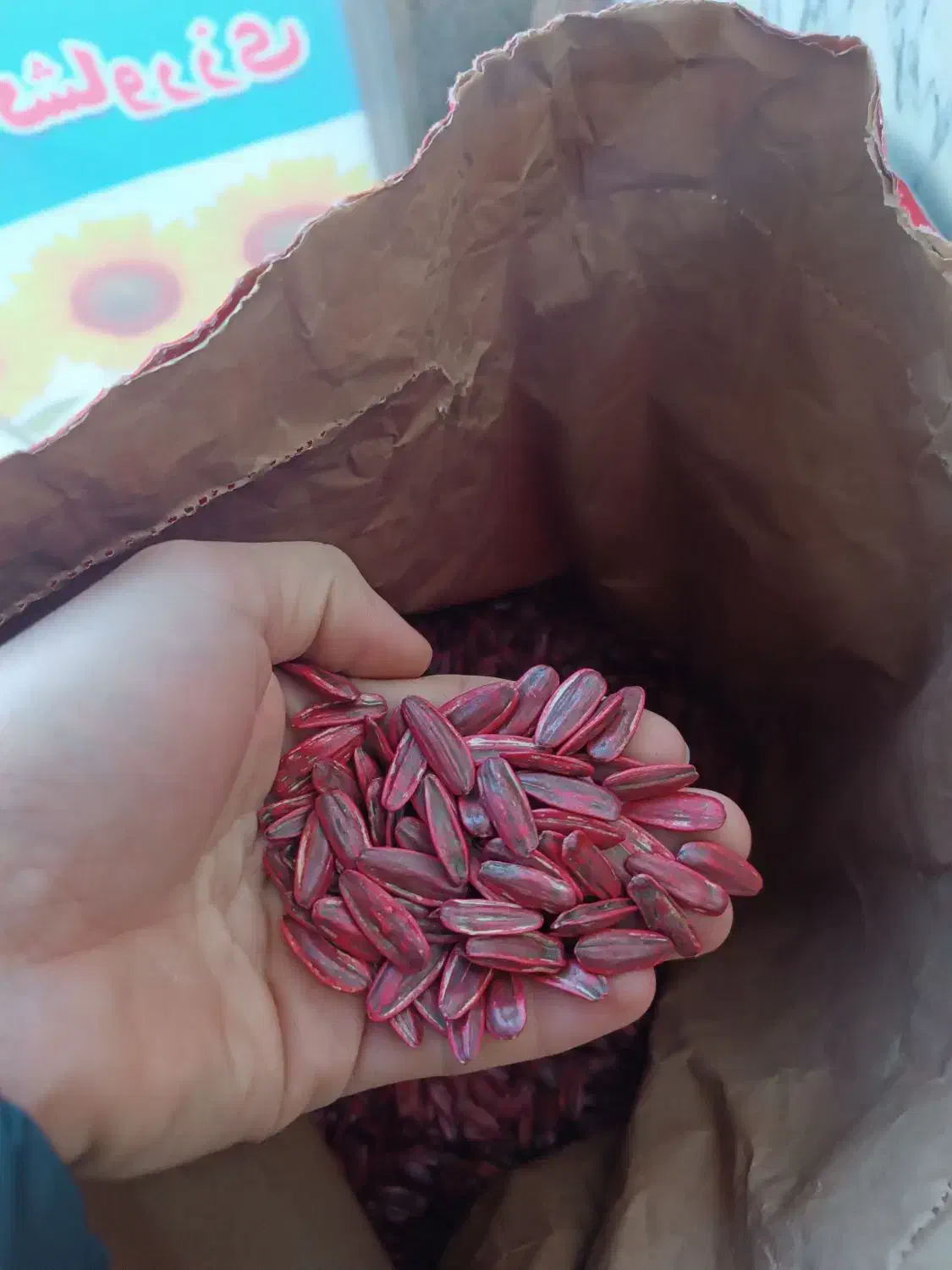 بذر آفتابگردان|خدمات باغبانی و درختکاری|نقده, |دیوار