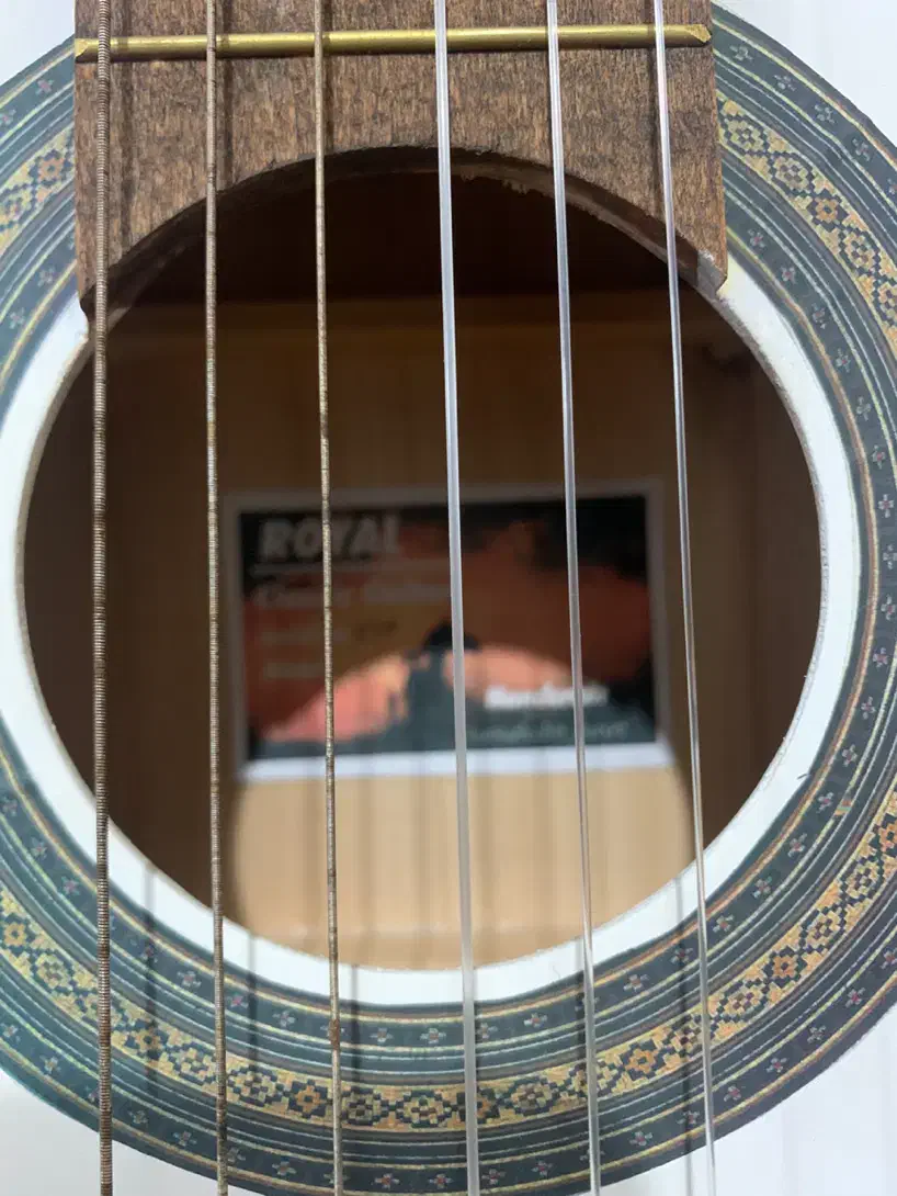 گیتار کلکسیونی|گیتار، بیس، امپلیفایر|آستانه اشرفیه, |دیوار