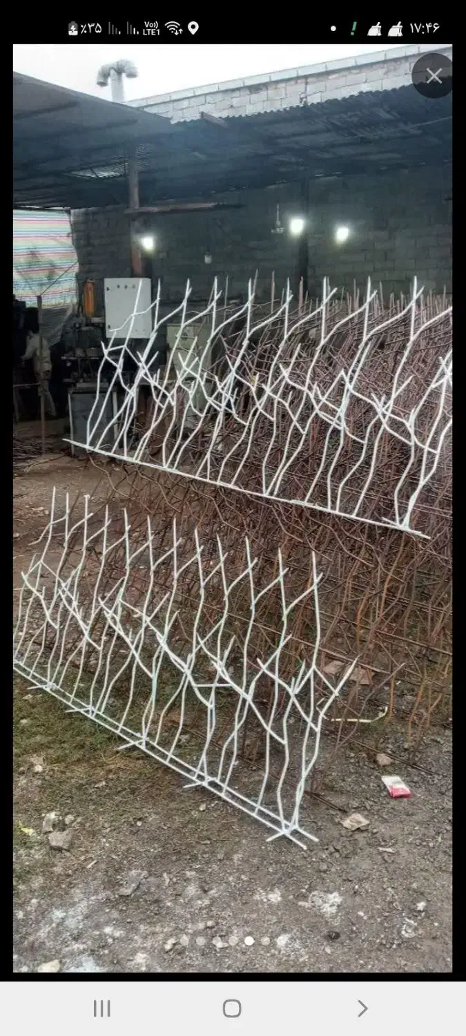 شاخ گوزنی روی دیوار|مصالح و تجهیزات ساختمان|پیشوا, |دیوار