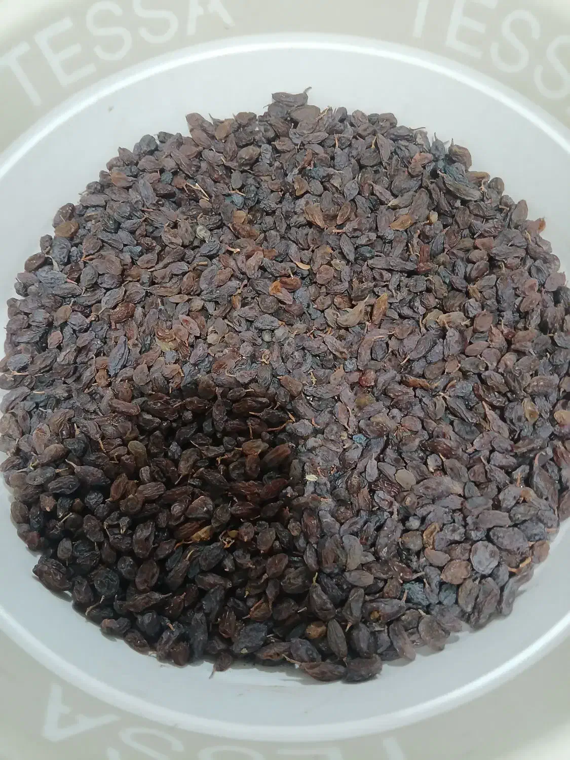 کشمش تر وتمیز|خوردنی و آشامیدنی|یاسوج, |دیوار