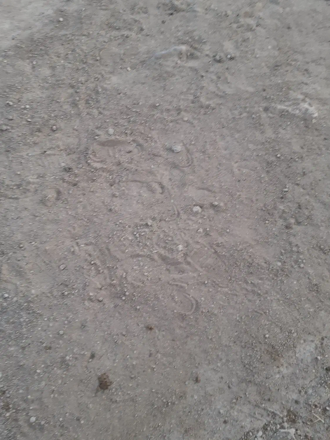 فروش زمین|فروش زمین و ملک کلنگی|مهربان, |دیوار