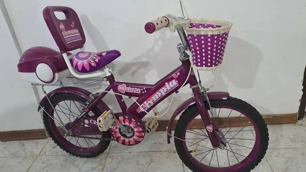 دوچرخه|دوچرخه، اسکیت، اسکوتر|دوگنبدان, |دیوار