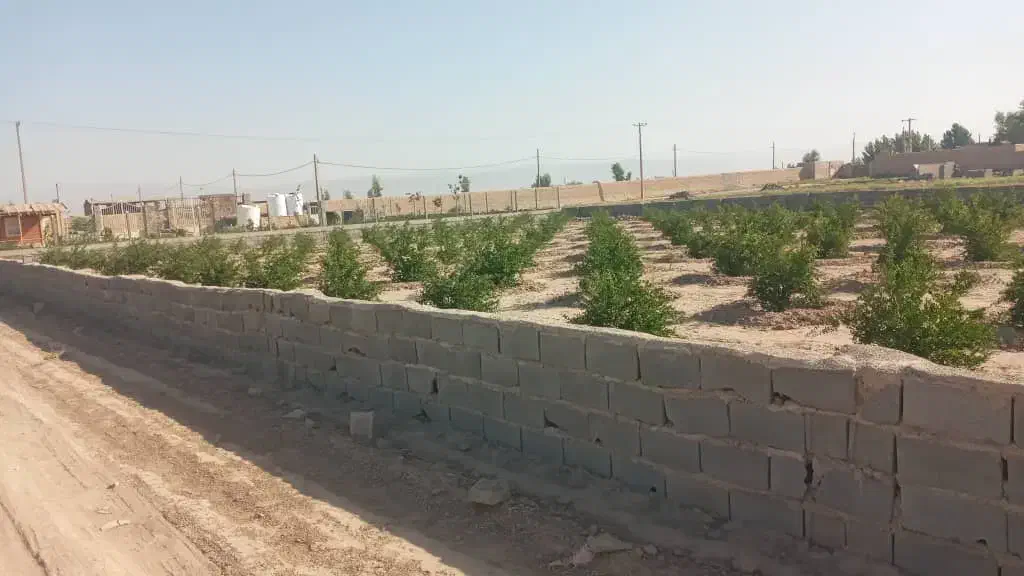 زمین ۲۵۰ متری آماده ساخت با تمام امکانات|فروش زمین و ملک کلنگی|قرچک, پویینک|دیوار