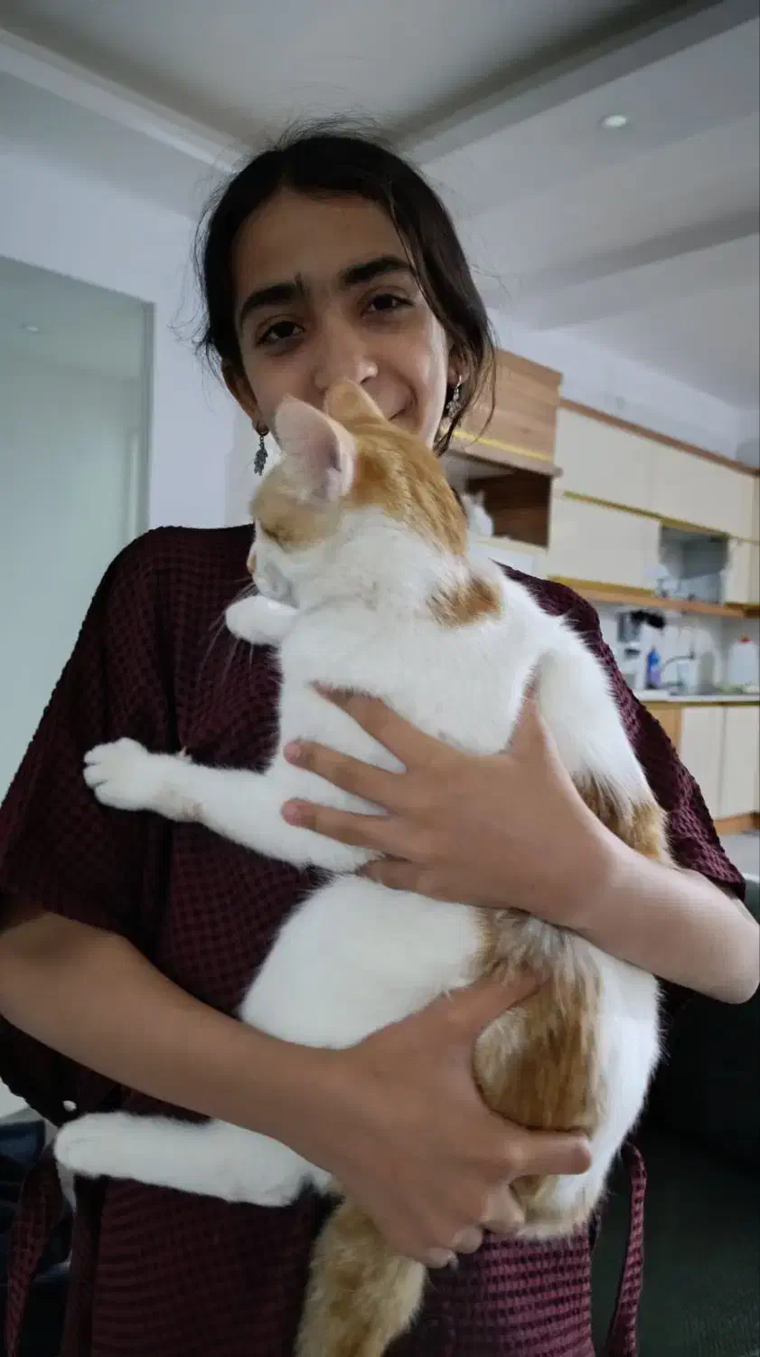 گمشده، مژدگانی 2 میلیون|حیوانات|ایرانشهر, |دیوار