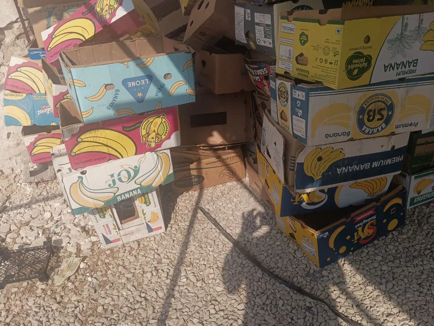 کارتن موزی نو|عمدهفروشی|برازجان, |دیوار