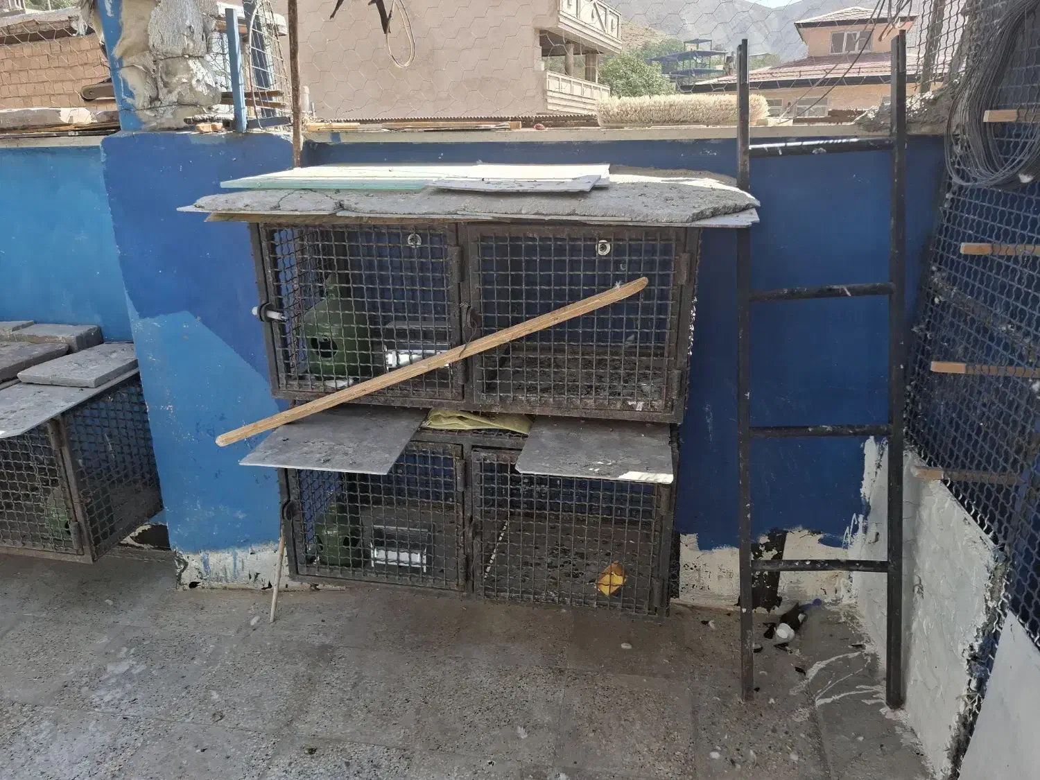 جفت کن آهنی 4 تایی کبوتر|لوازم جانبی حیوانات|لواسان, |دیوار