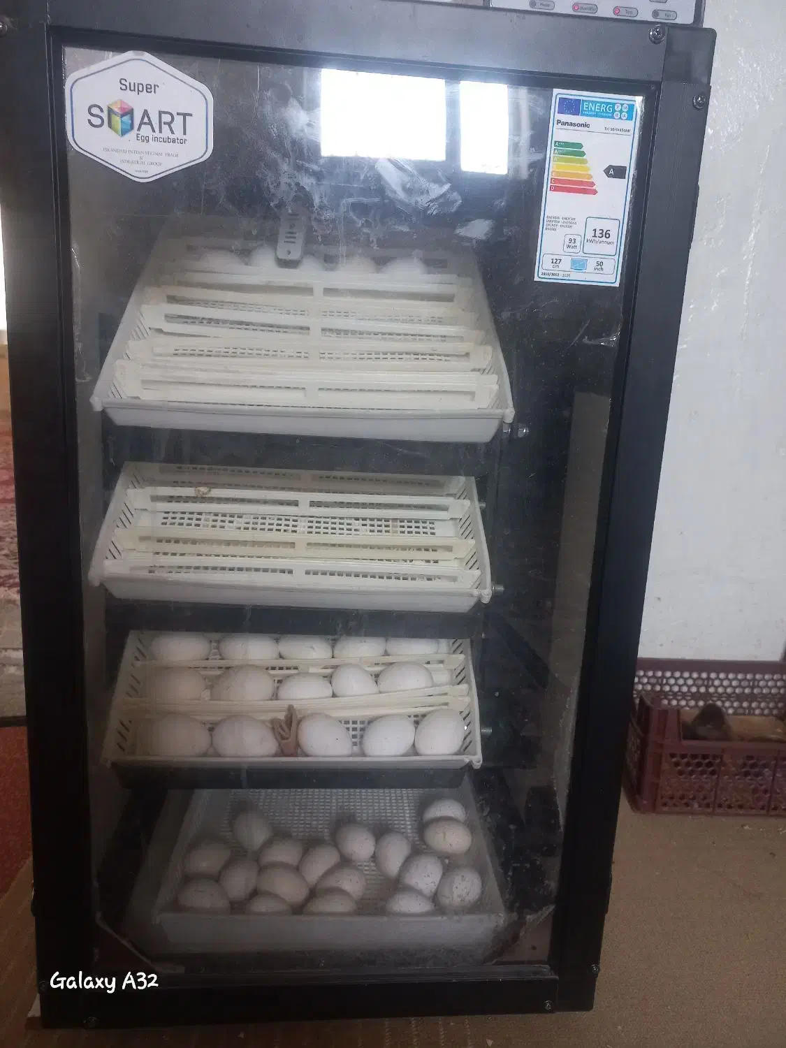 دستگاه جوجه کشی اسکندریه|لوازم جانبی حیوانات|فسا, |دیوار