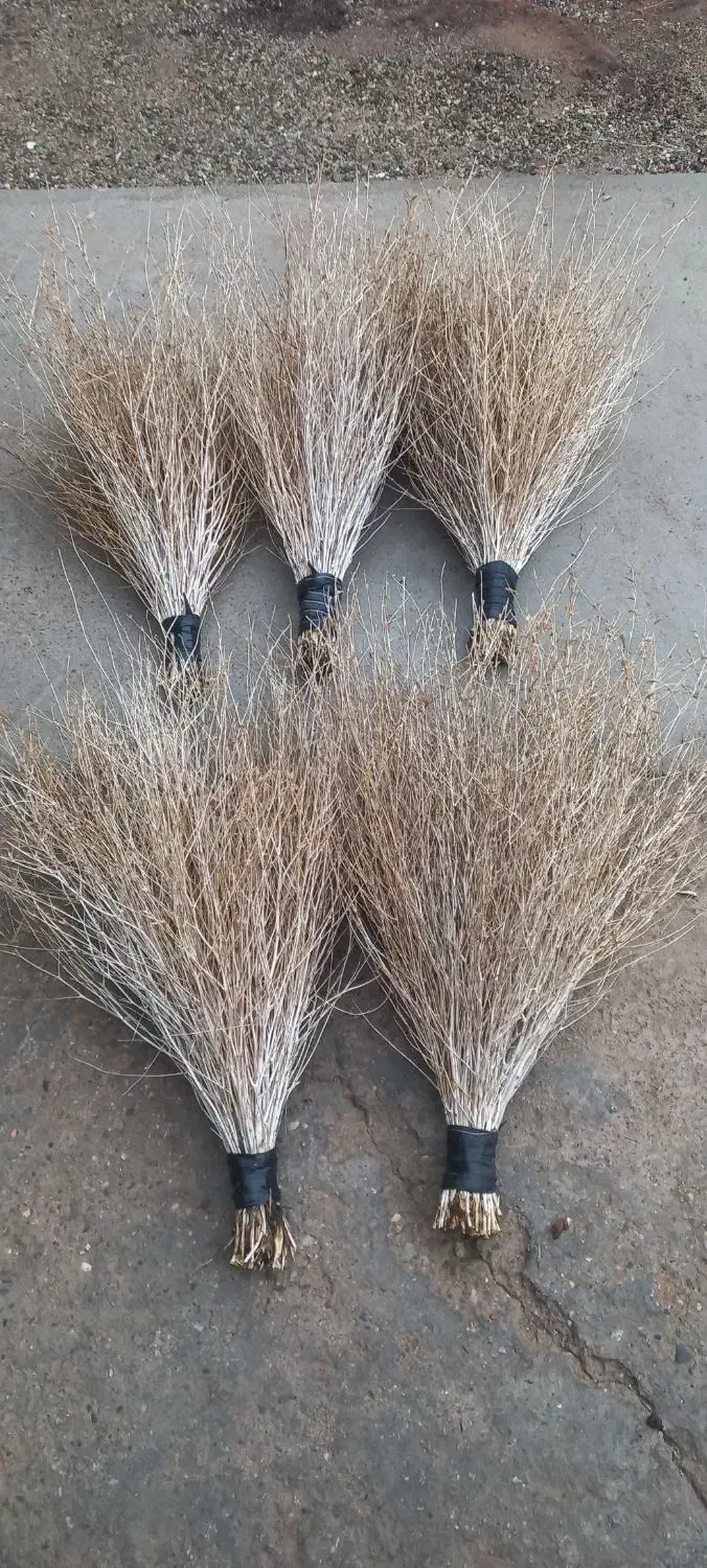 جاروطبیعی(جارو سفیدکوهستان)|لوازم نظافت|شاهین دژ, |دیوار