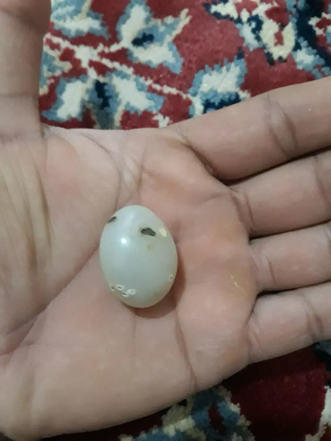 سنگ باباقوری|جواهرات|کلاله, |دیوار