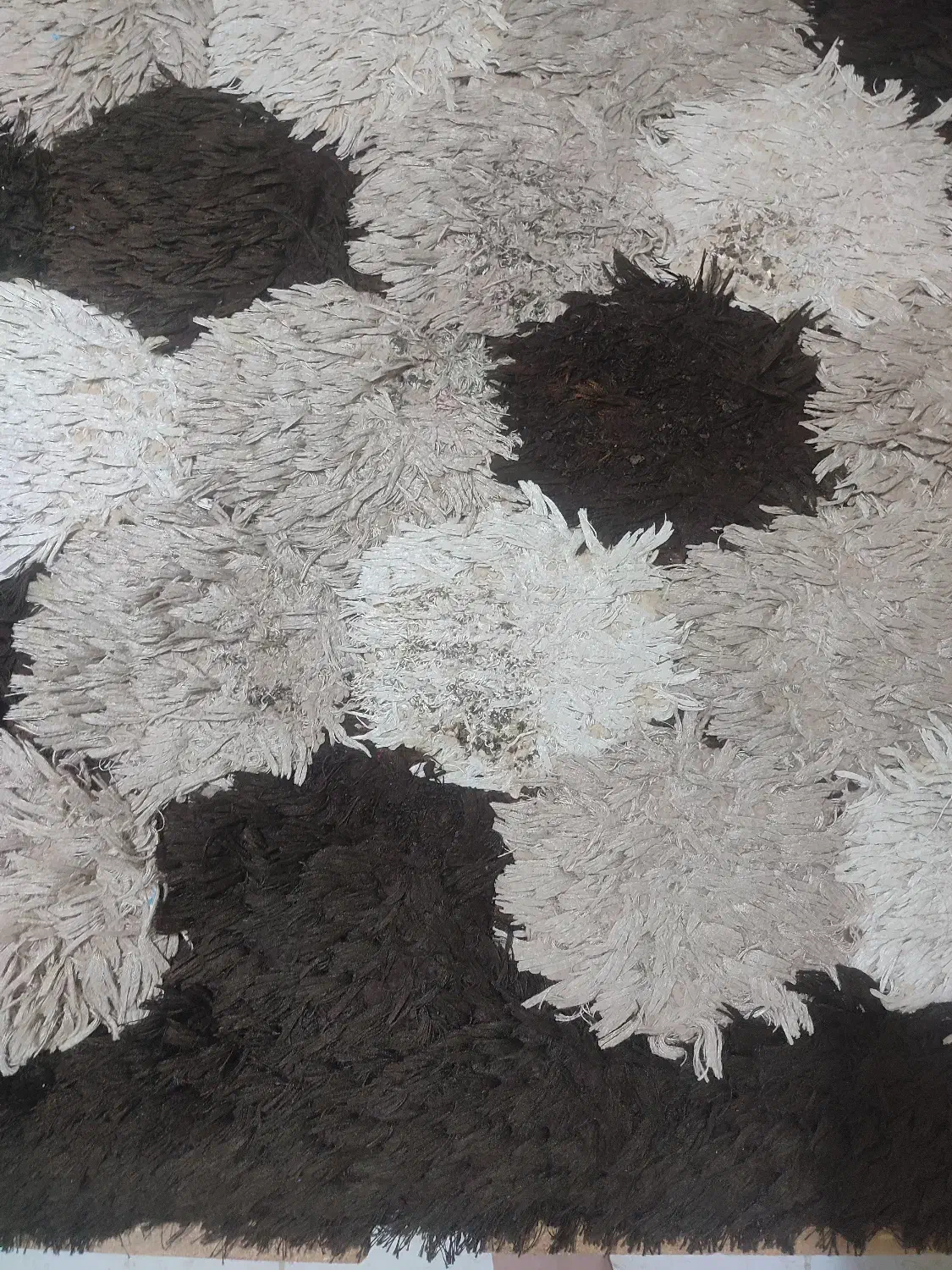 قالیچه 120در180|گلیم، جاجیم، گبه|رشت, کوی مهر|دیوار