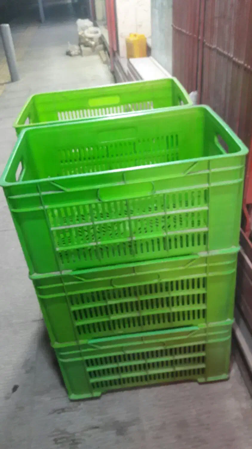 سبد مرغی تعداد ۱۰۰عدد|ظروف نگهدارنده، پلاستیکی، یک‌بارمصرف|اصفهان, لیمجیر|دیوار