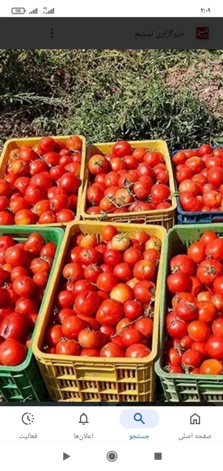 سرکارگر امور کشاورزی انبار سرد خانه آقای سنجابی|خدمات باغبانی و درختکاری|کرمانشاه, |دیوار