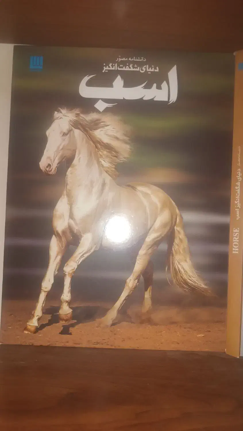 سواری آزاد از مبتدی تا پیشرفته|خدمات آموزشی|بجنورد, |دیوار