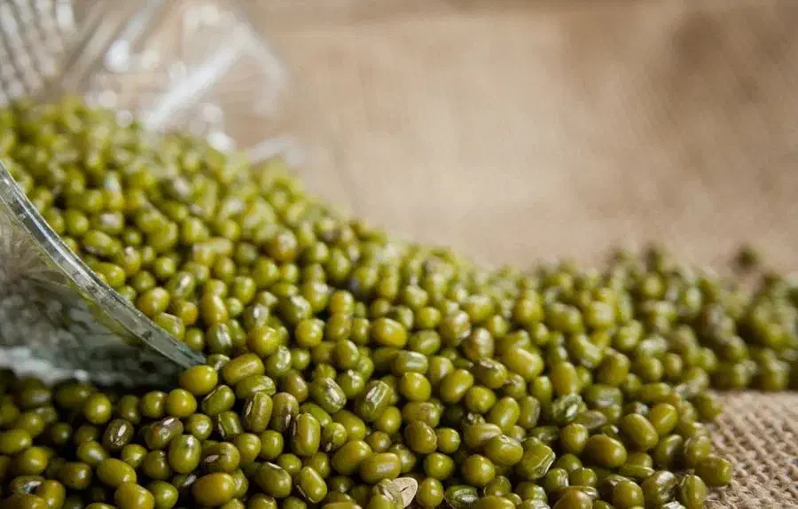 ماش و کاه ماش چرام|حیوانات مزرعه|دهدشت, |دیوار