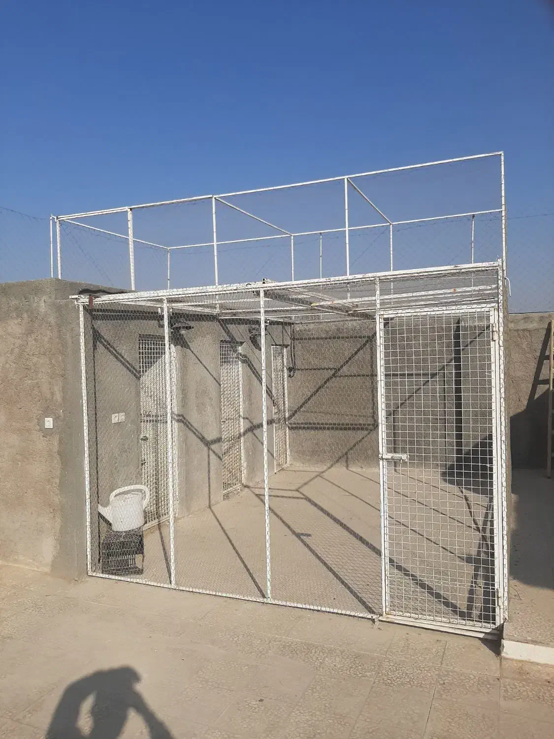 توربند،عشقبازی|لوازم جانبی حیوانات|آران و بیدگل, |دیوار