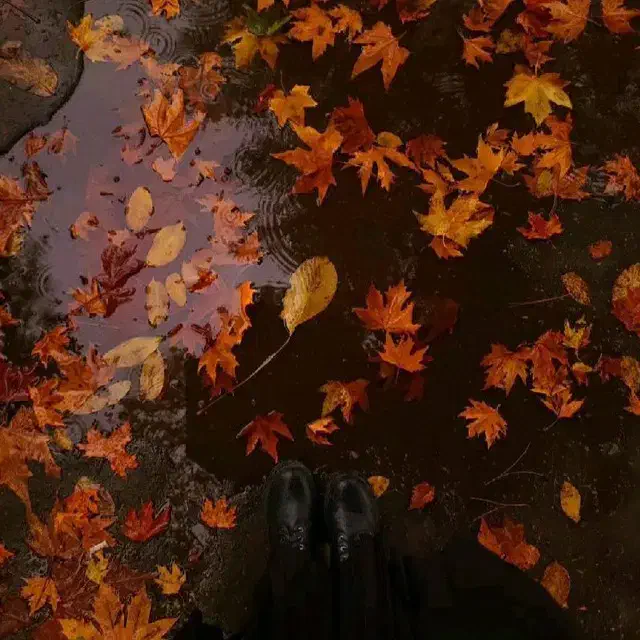 بازی|گردهمایی و همایش|اقبالیه, |دیوار