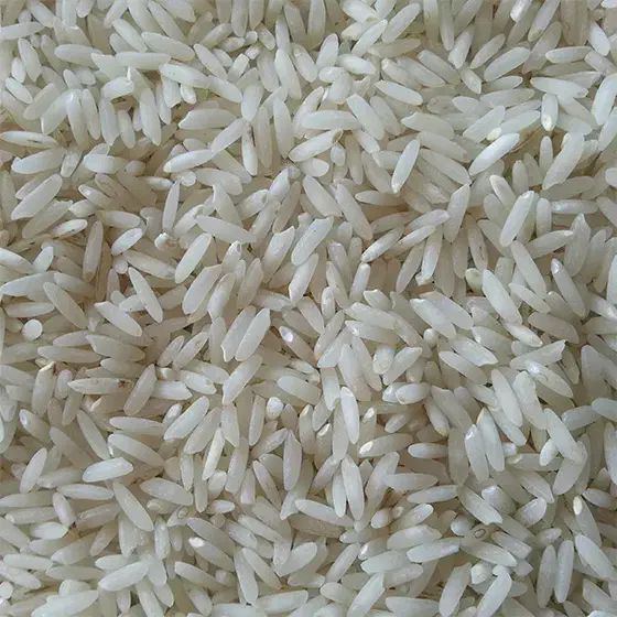 فروش برنج طارم هاشمی محلی اصل مازندران|خوردنی و آشامیدنی|مرزیکلا, |دیوار
