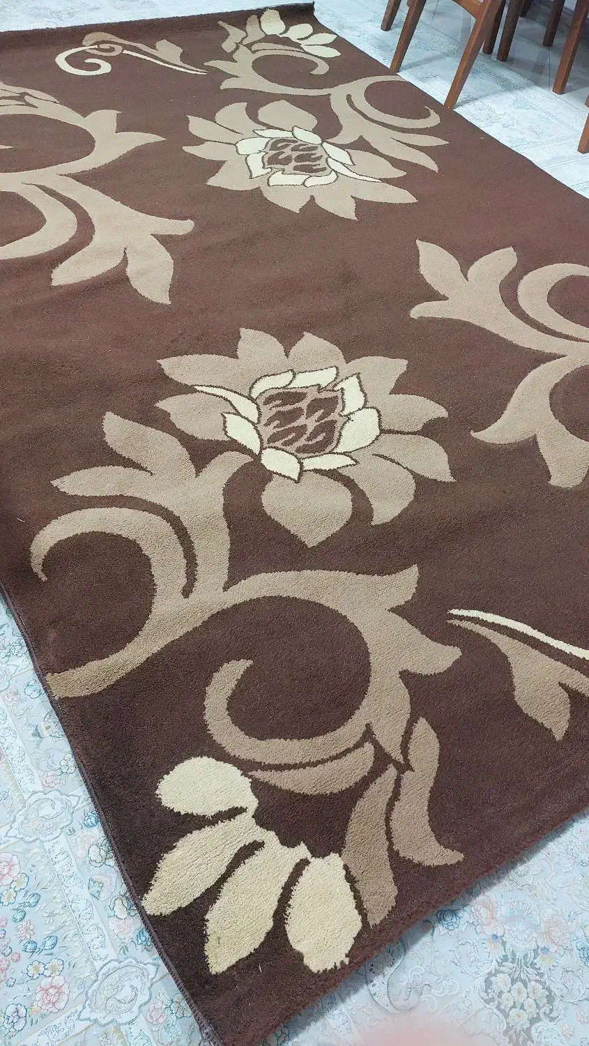 فرش ۶ متری|فرش|نوشهر, |دیوار