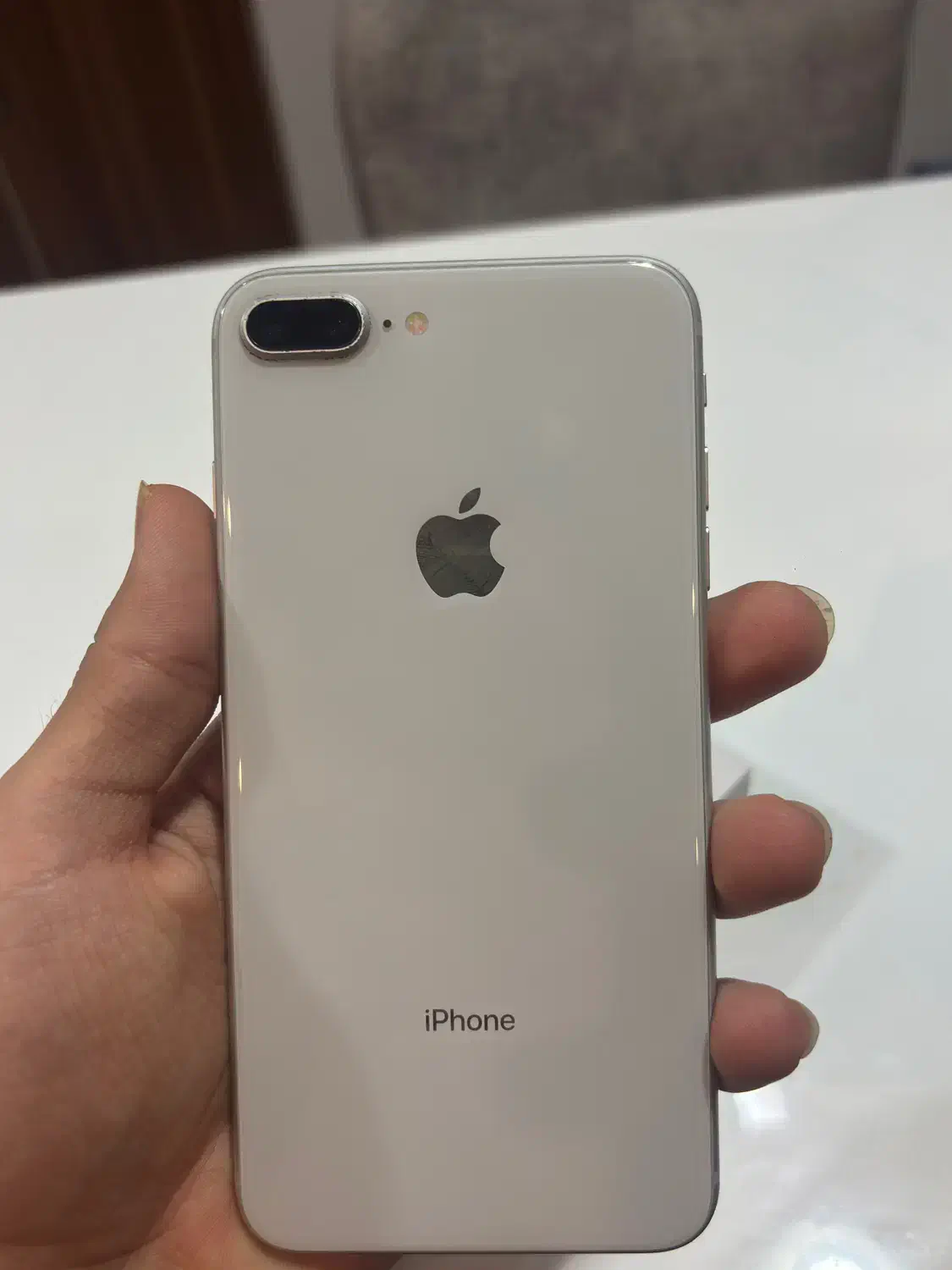iPhone 8plus|موبایل|شیراز, غدیر جنوبی|دیوار