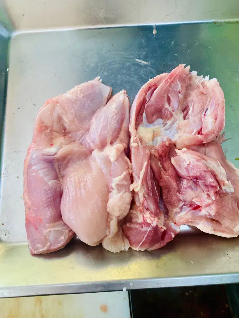 پخش مرغ سینه فیله|عمده‌فروشی|رشت, حمیدیان|دیوار