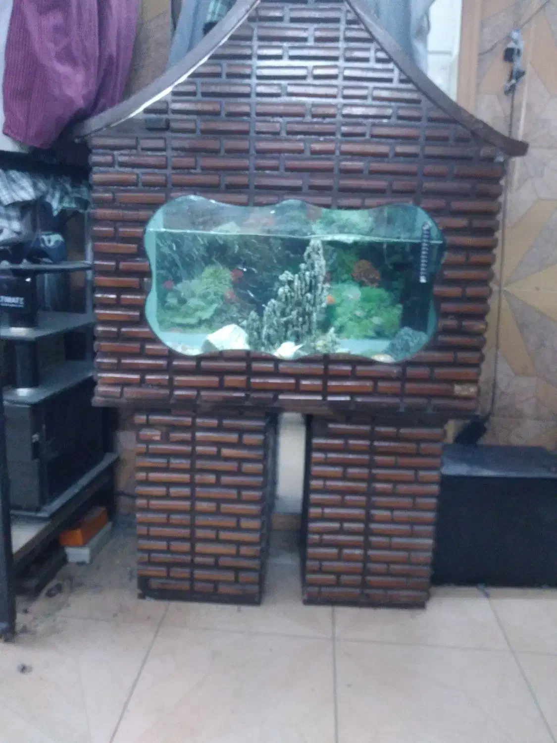 آکواریوم|ماهی|پاکدشت, پاکدشت (مامازند)|دیوار