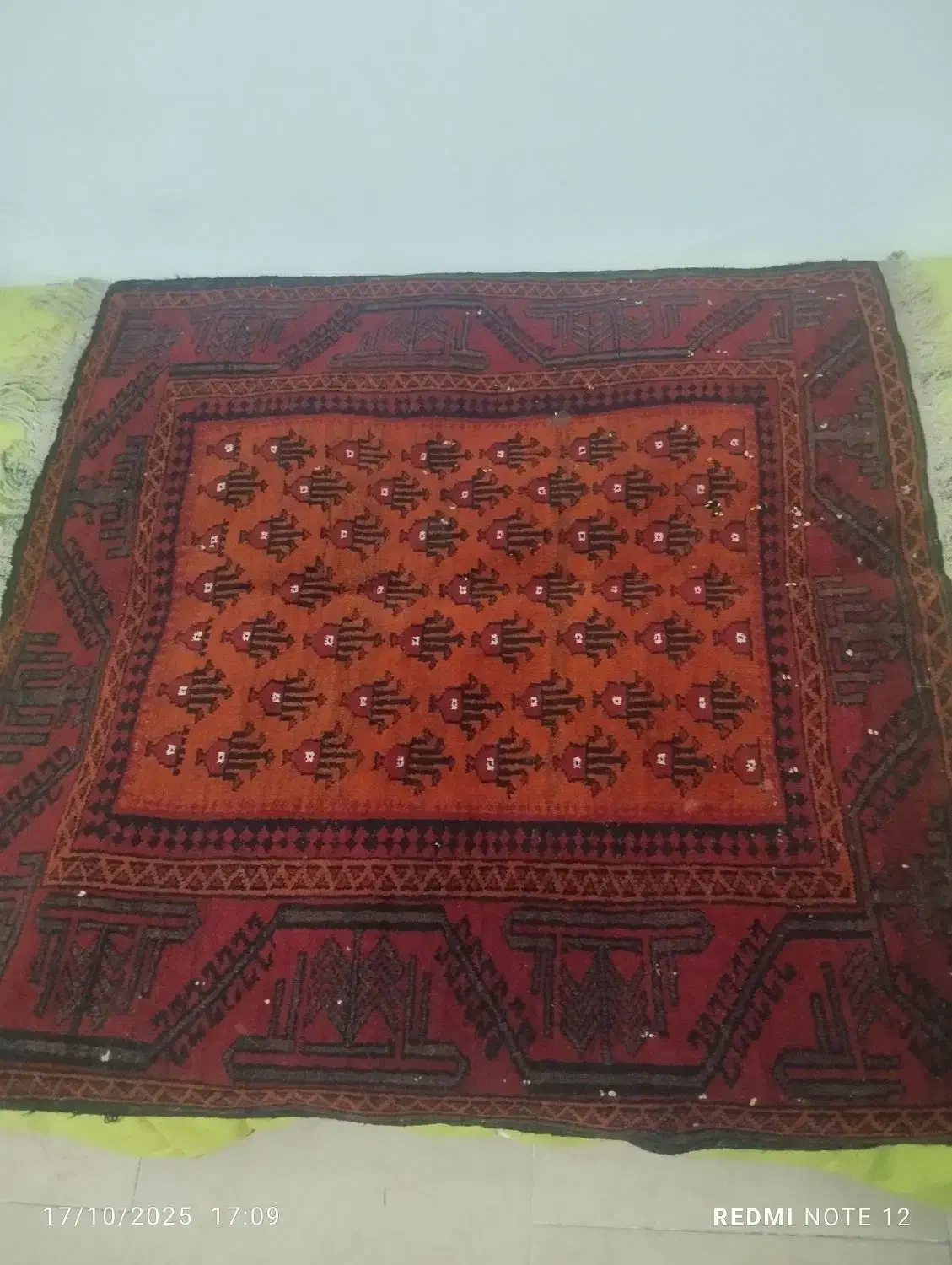 دست بافت|فرش|زاهدان, |دیوار