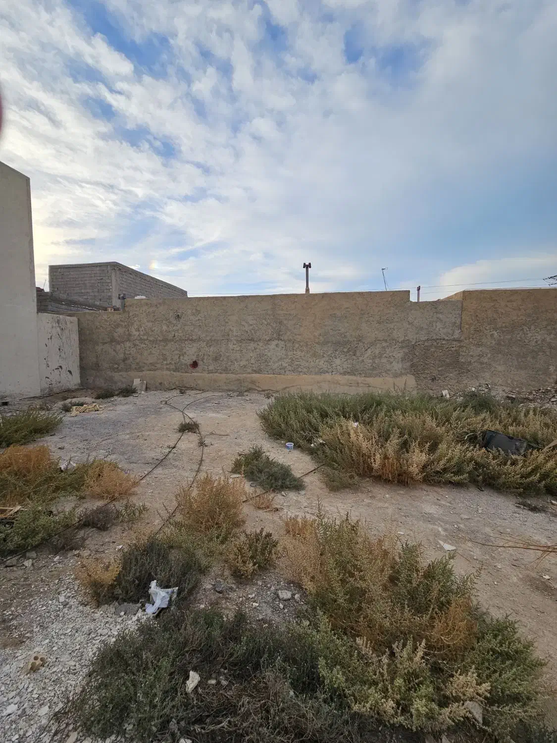 زمین مسکونی پهلوان کشی|فروش زمین و ملک کلنگی|بوشهر, |دیوار