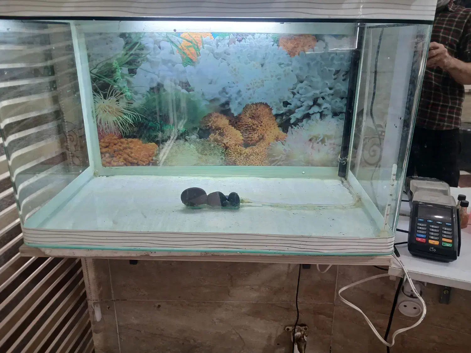 وسایل آکواریوم .به طول ۵۷و عرض ۳۲و ارتفاع۳۶|ماهی|کرمانشاه, |دیوار