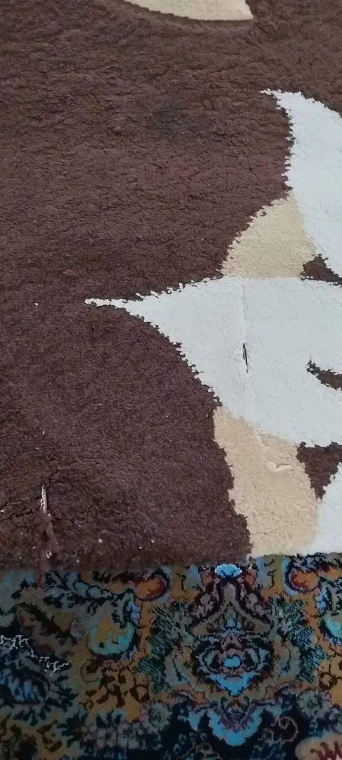 گلیم فرش|گلیم، جاجیم، گبه|فردیس, شهرک شهید حسینی|دیوار