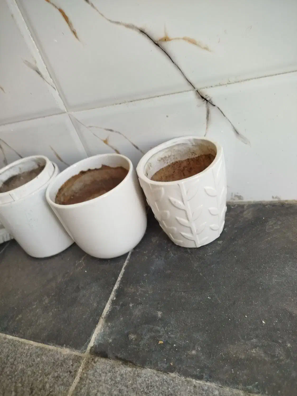 4عددگلدان سرامیکی|گل و گیاه طبیعی|تربتحیدریه, حسنی بالا|دیوار