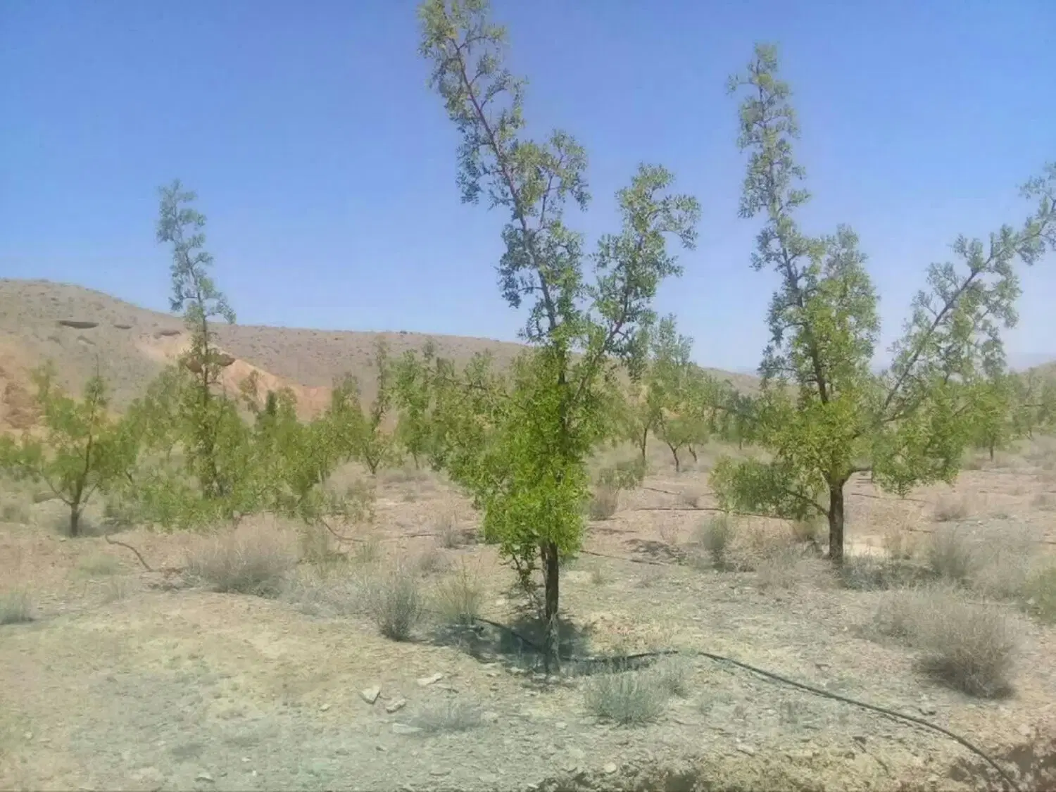 تصویر 17