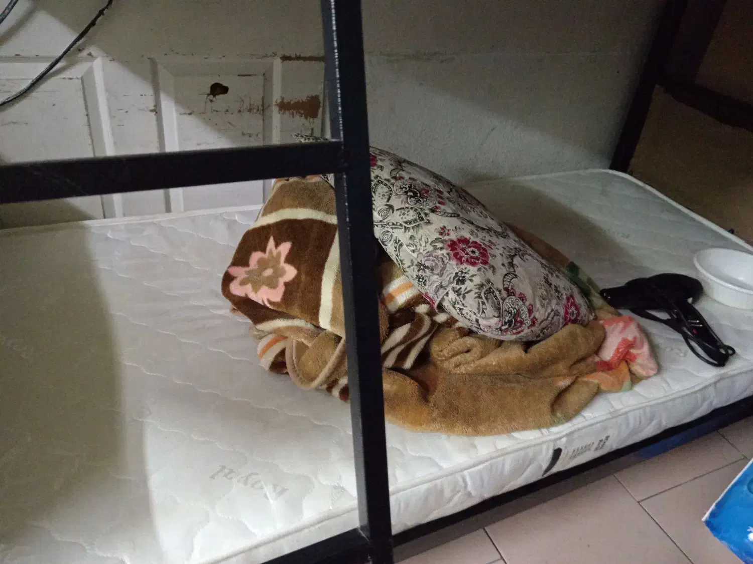 خوابگاه|اجارهٔ آپارتمان|رشت, پیرسرا|دیوار