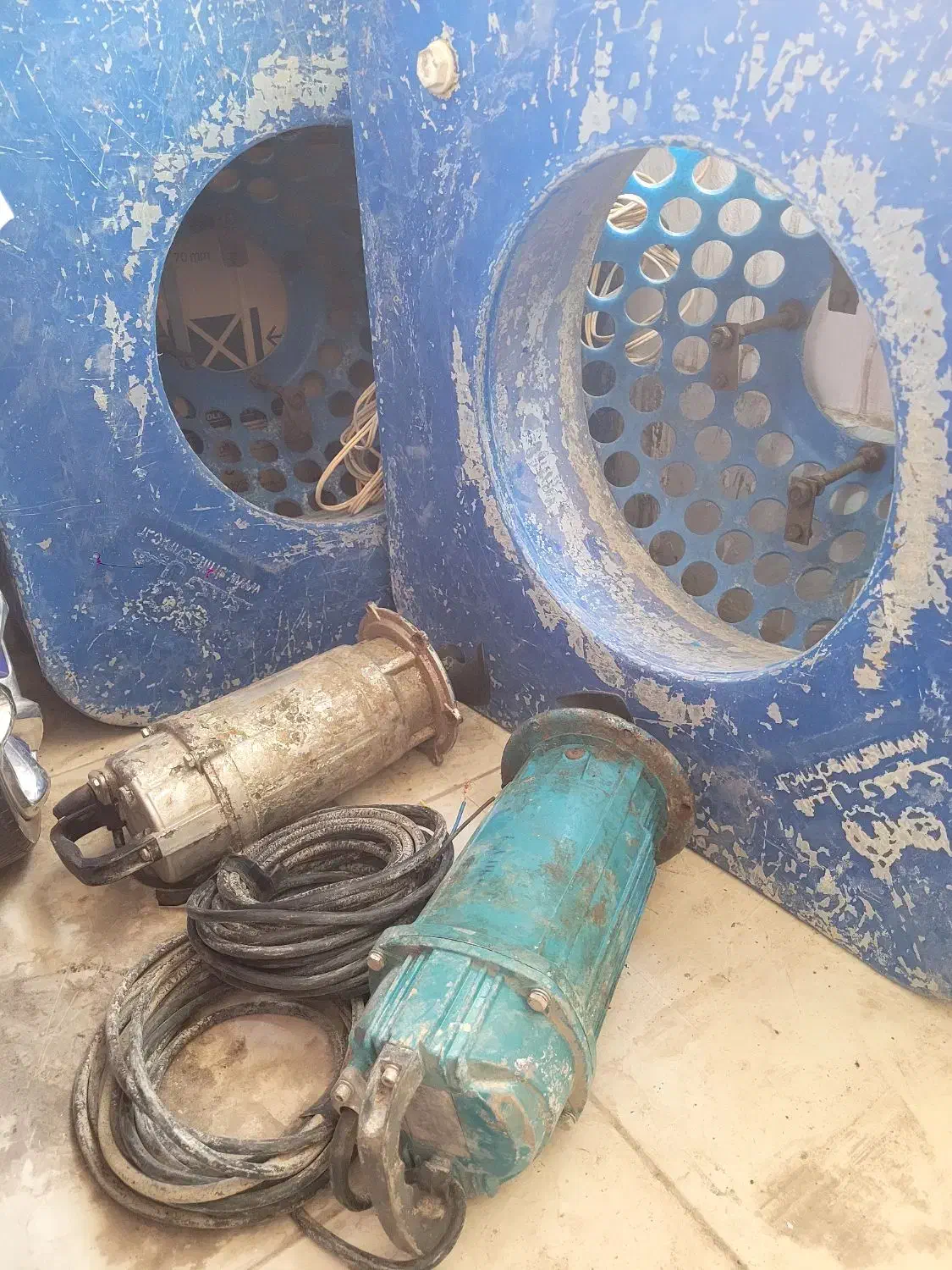 اسپلش|ماهی|رفسنجان, |دیوار