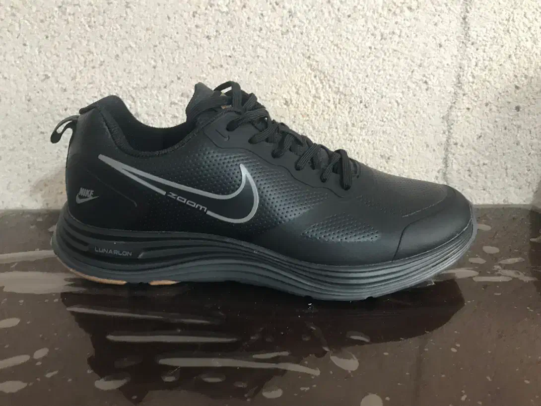 نایک چرمی ویتنامی|کیف، کفش، کمربند|آستانه اشرفیه, |دیوار