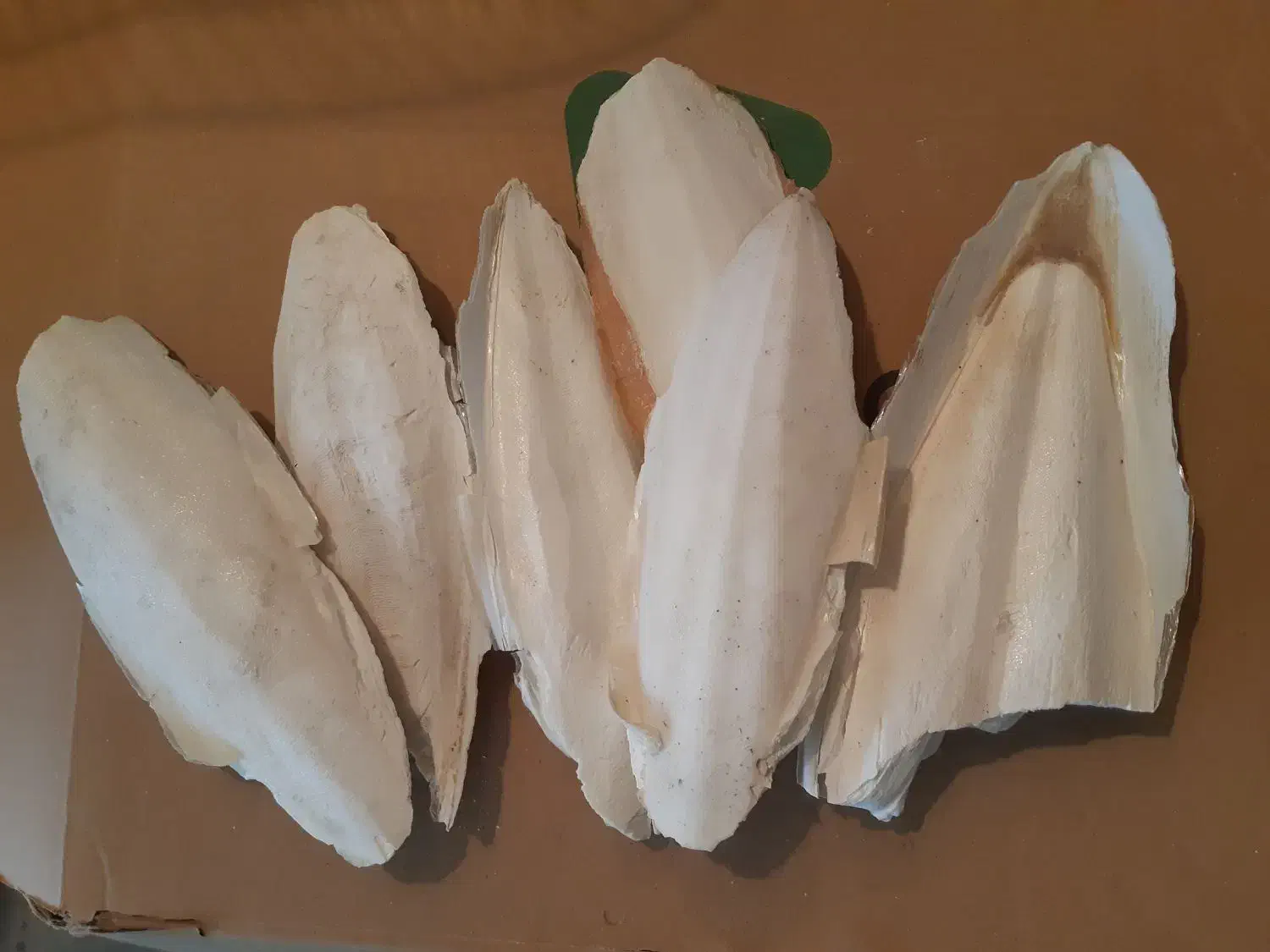 قفس پرنده واکسسوری|لوازم جانبی حیوانات|پردیس, فاز ۱|دیوار