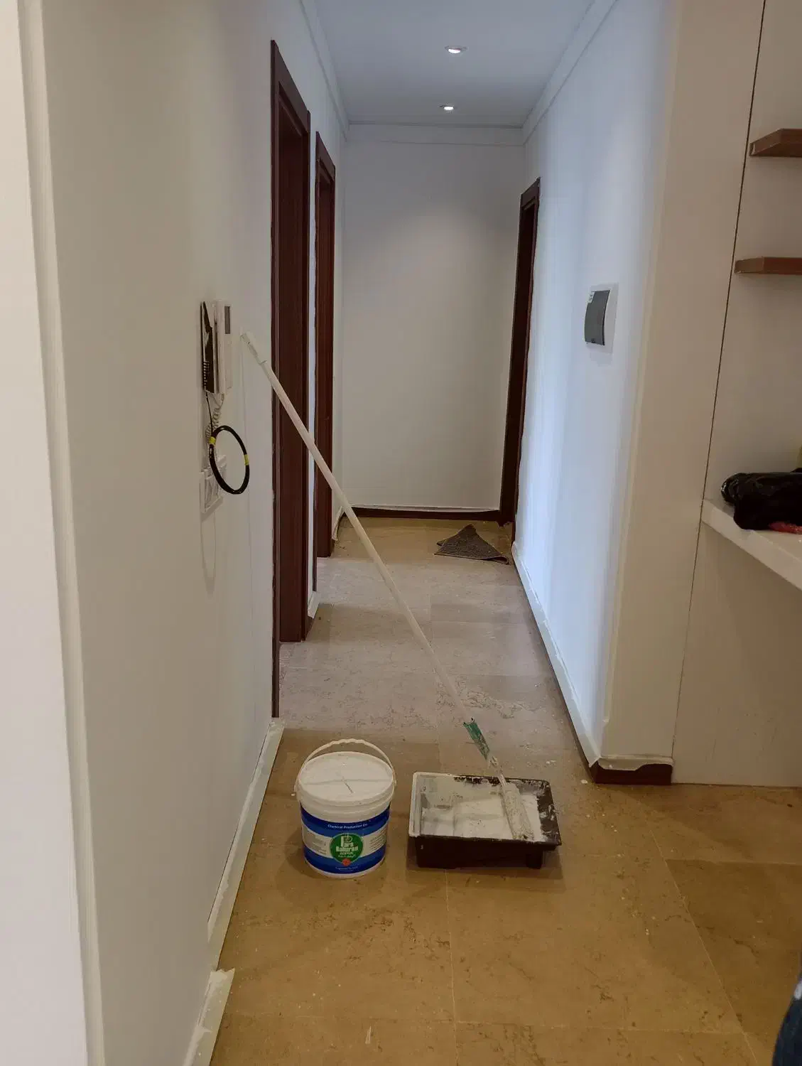 نقاشی و برقکاری ساختمان با بهترین کیفیت|خدمات پیشه و مهارت|شیروان (خراسان), |دیوار