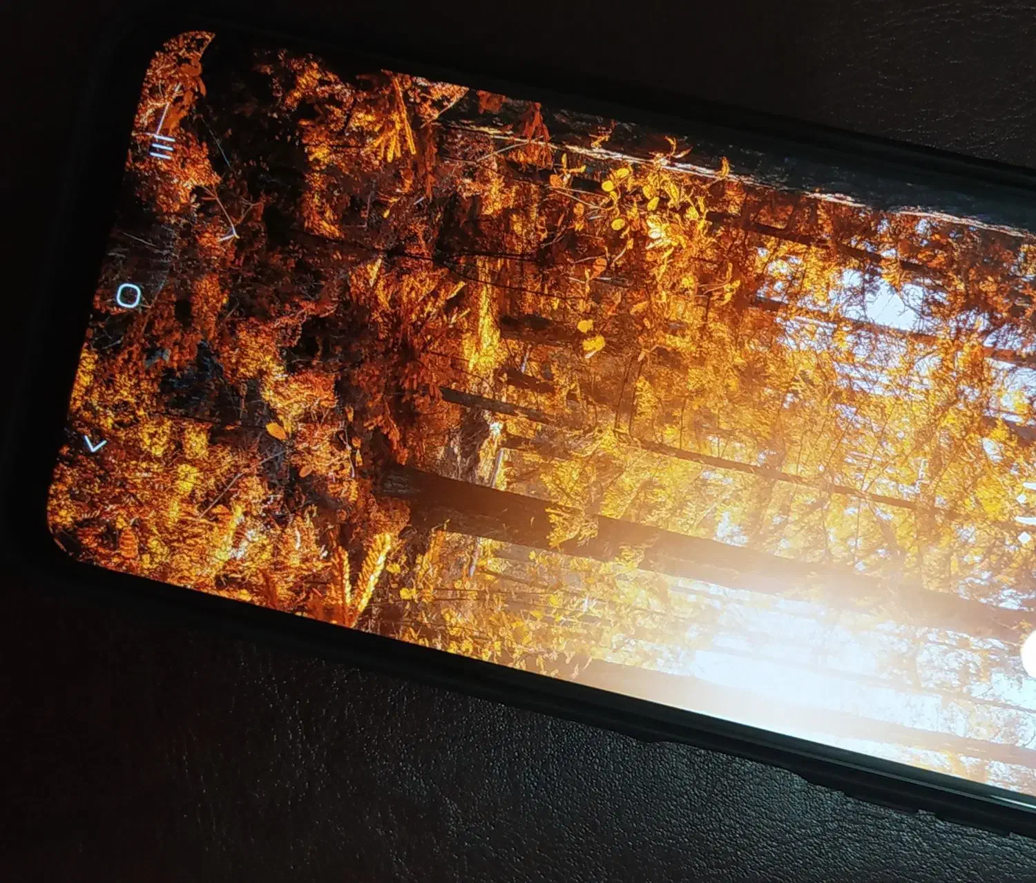 Galaxy A16|موبایل|تهران, صاحب الزمان|دیوار