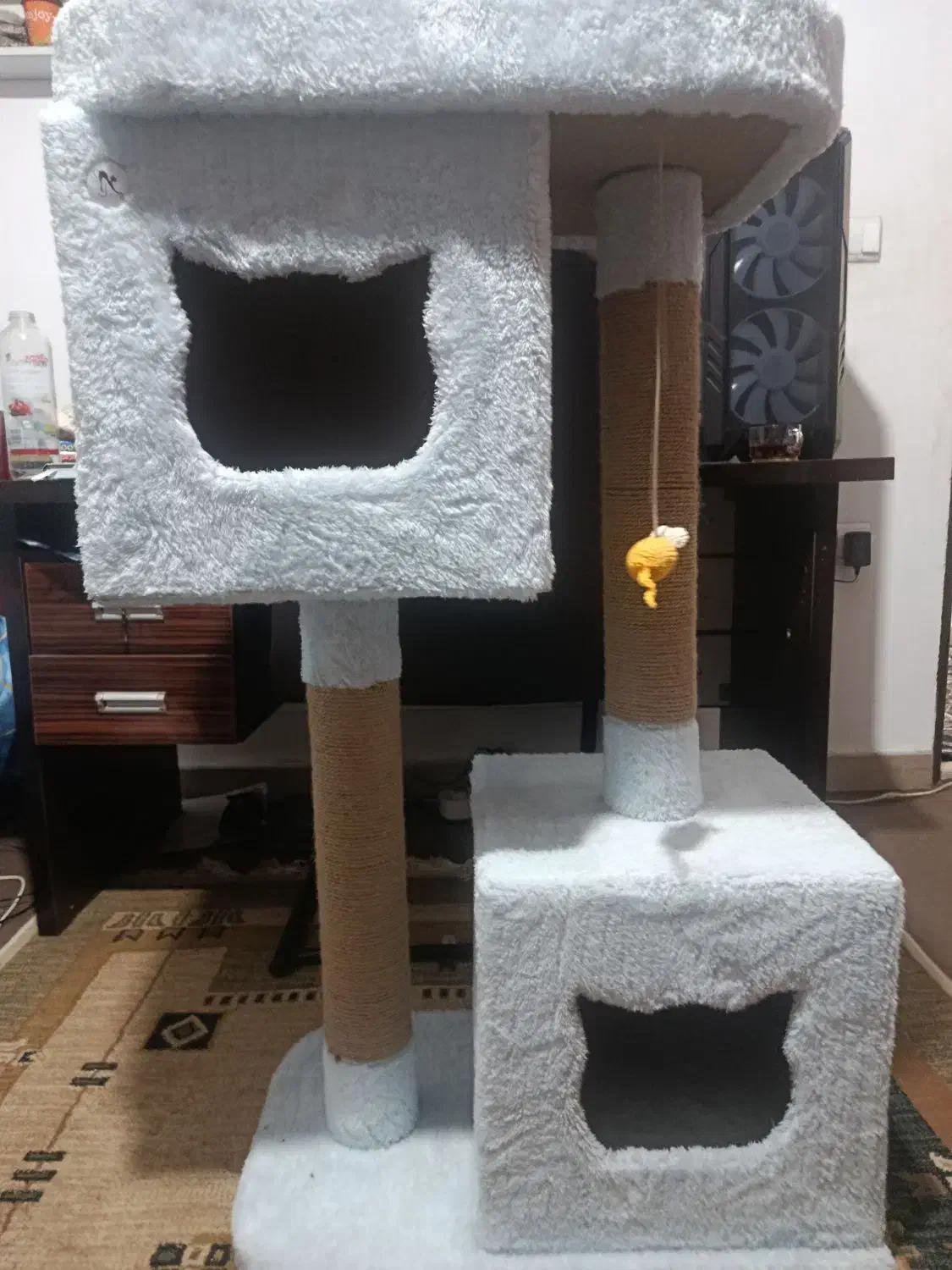 خانه گربه ( اسکرچر )|لوازم جانبی حیوانات|کتالم و سادات شهر, |دیوار