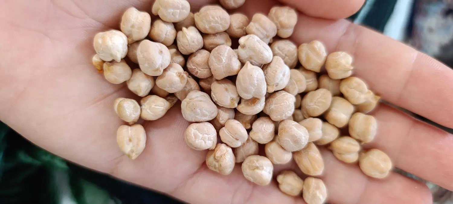 ۱۵۰|خوردنی و آشامیدنی|صحنه, |دیوار