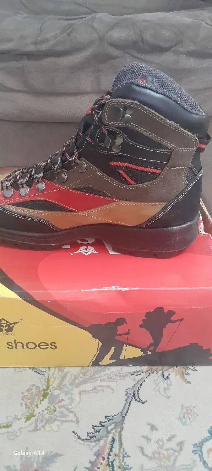 کفش کوه نوردی|کیف، کفش، کمربند|بیرجند, |دیوار