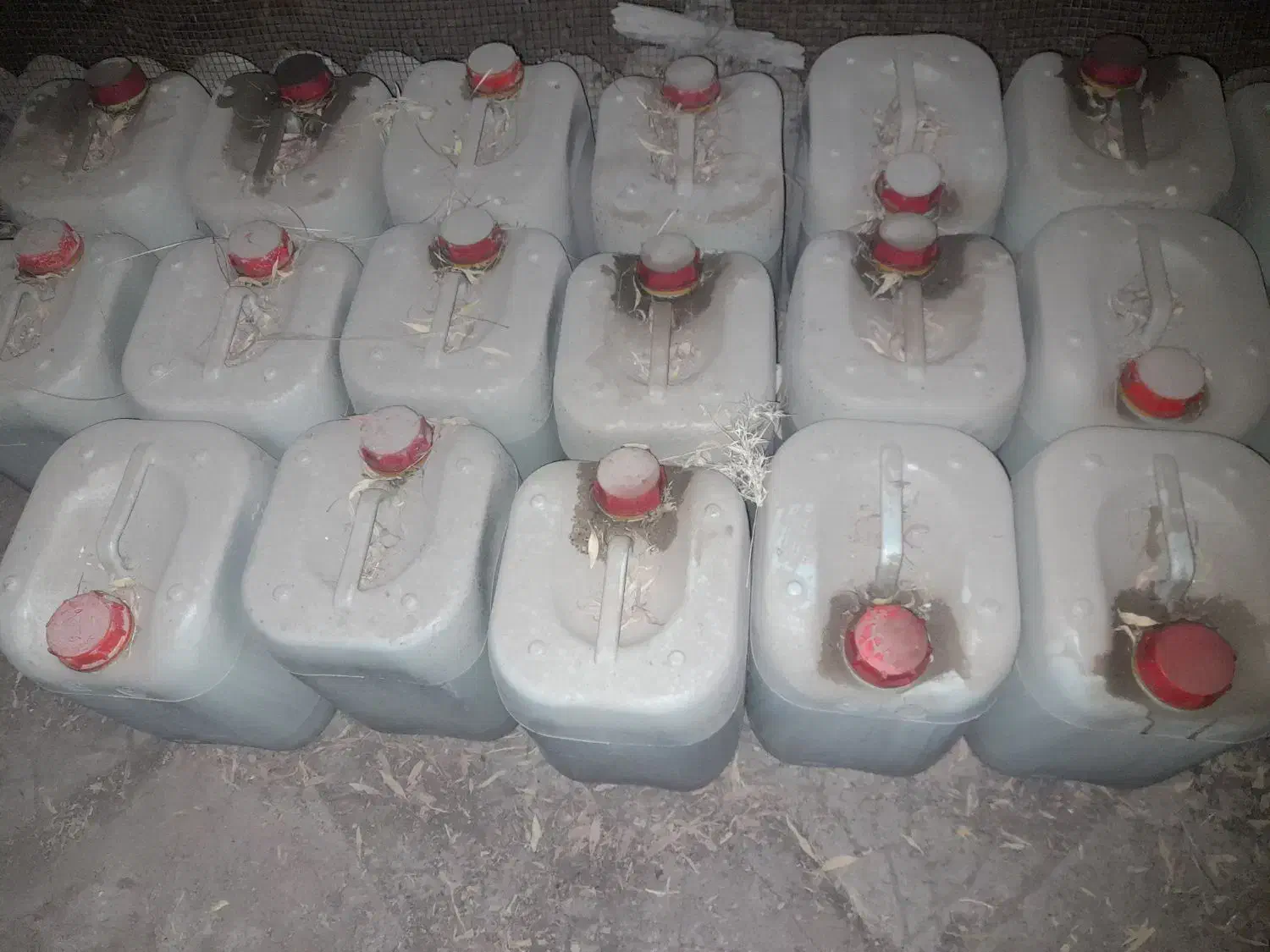 فروش جهت  تمیزکاری|مواد شوینده و دستمال کاغذی|برازجان, |دیوار