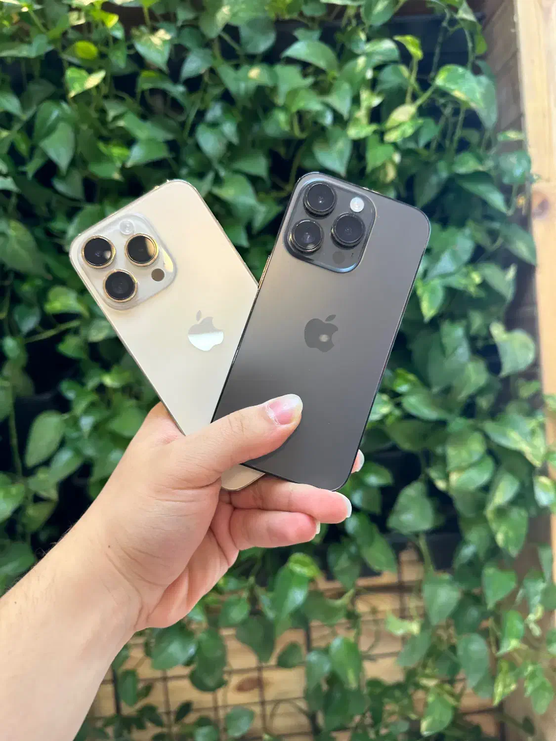 ایفون ۱۴پرو|موبایل|شیراز, معالی‌آباد|دیوار