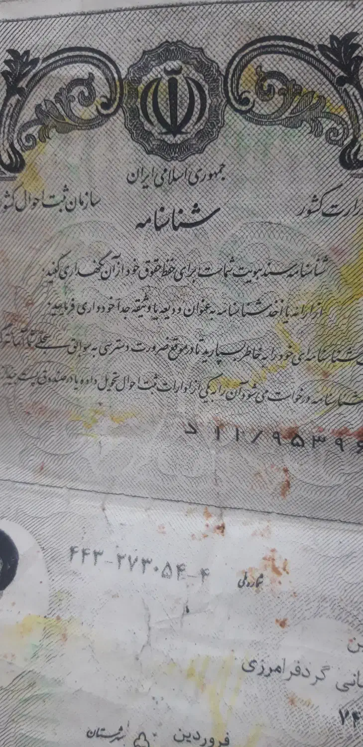 مدارک گمشده|اشیا|حمیدیا, |دیوار