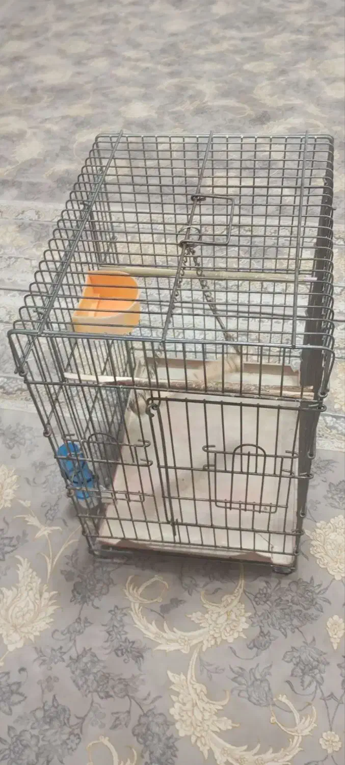 قفس عروس محکم یک عدد ارزون|لوازم جانبی حیوانات|نسیمشهر, |دیوار