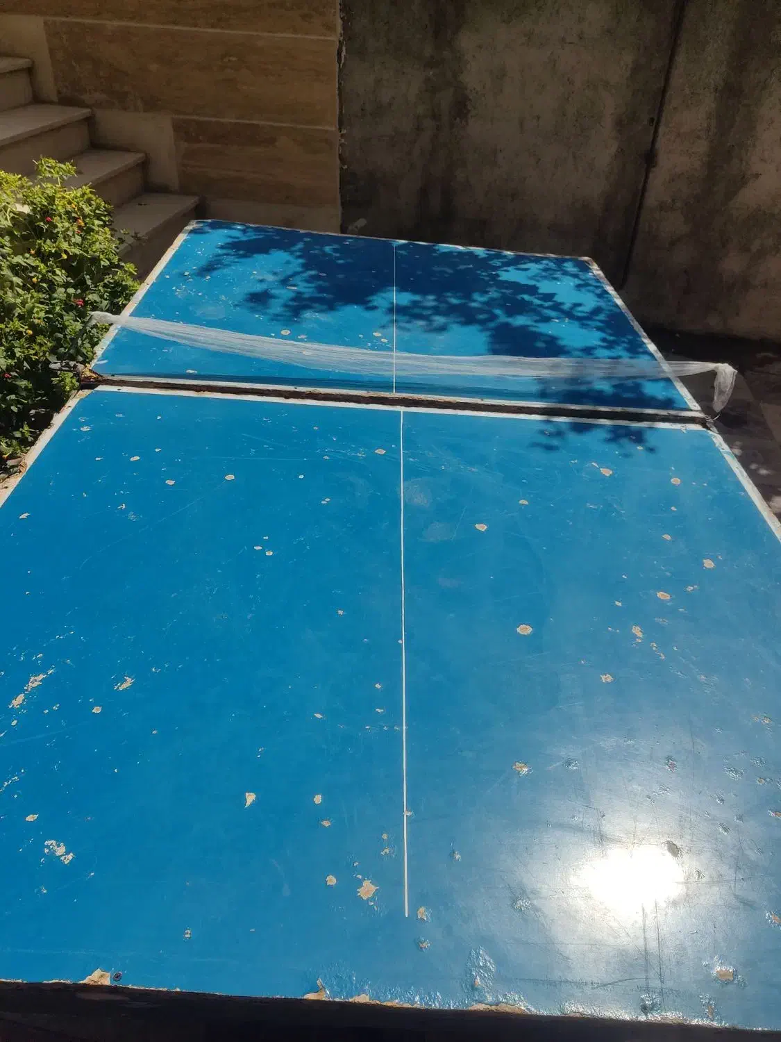 میز پینگ پنگ تاشو|ورزش‌های توپی|دماوند, دماوند|دیوار