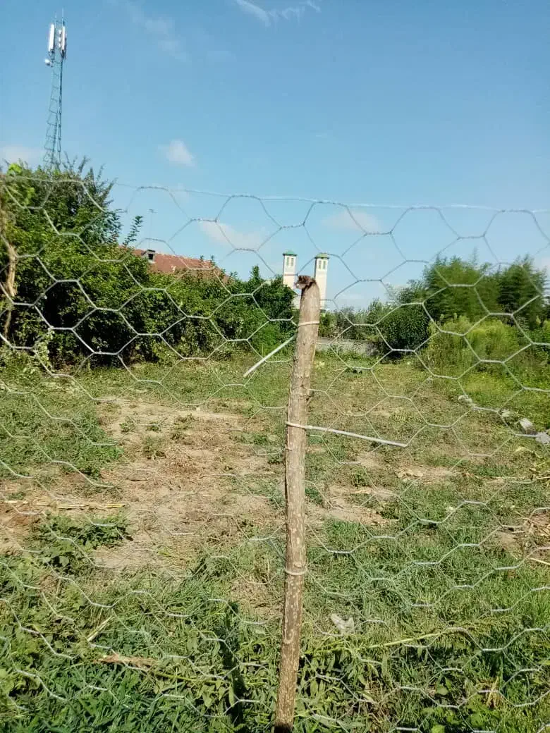 زمین مسکونی سنددار|فروش زمین و ملک کلنگی|رودبنه, |دیوار