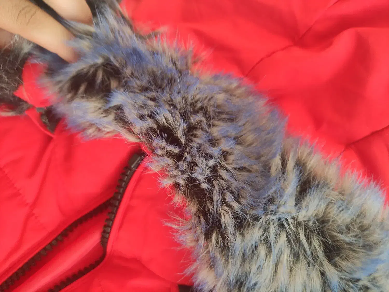 دو عدد کاپشن زیر قیمت|لباس|شیراز, شهرک سراج‎|دیوار