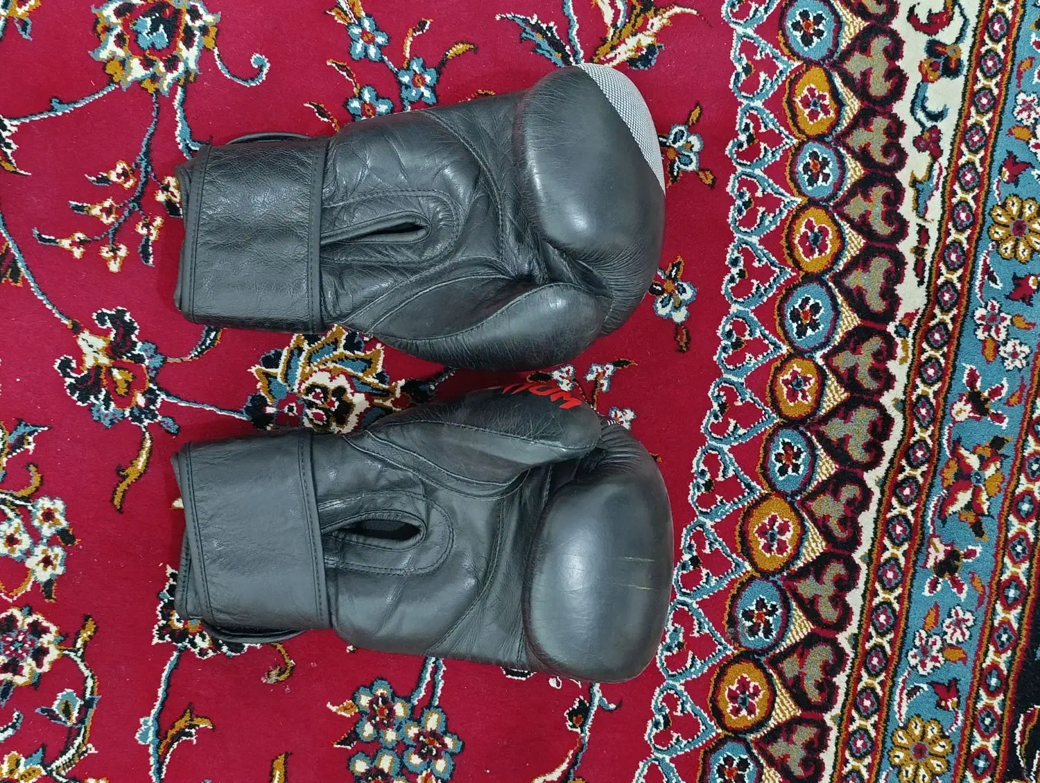دستکش بوکس ونوم چرم|تجهیزات ورزشی|اصفهان, فجر|دیوار