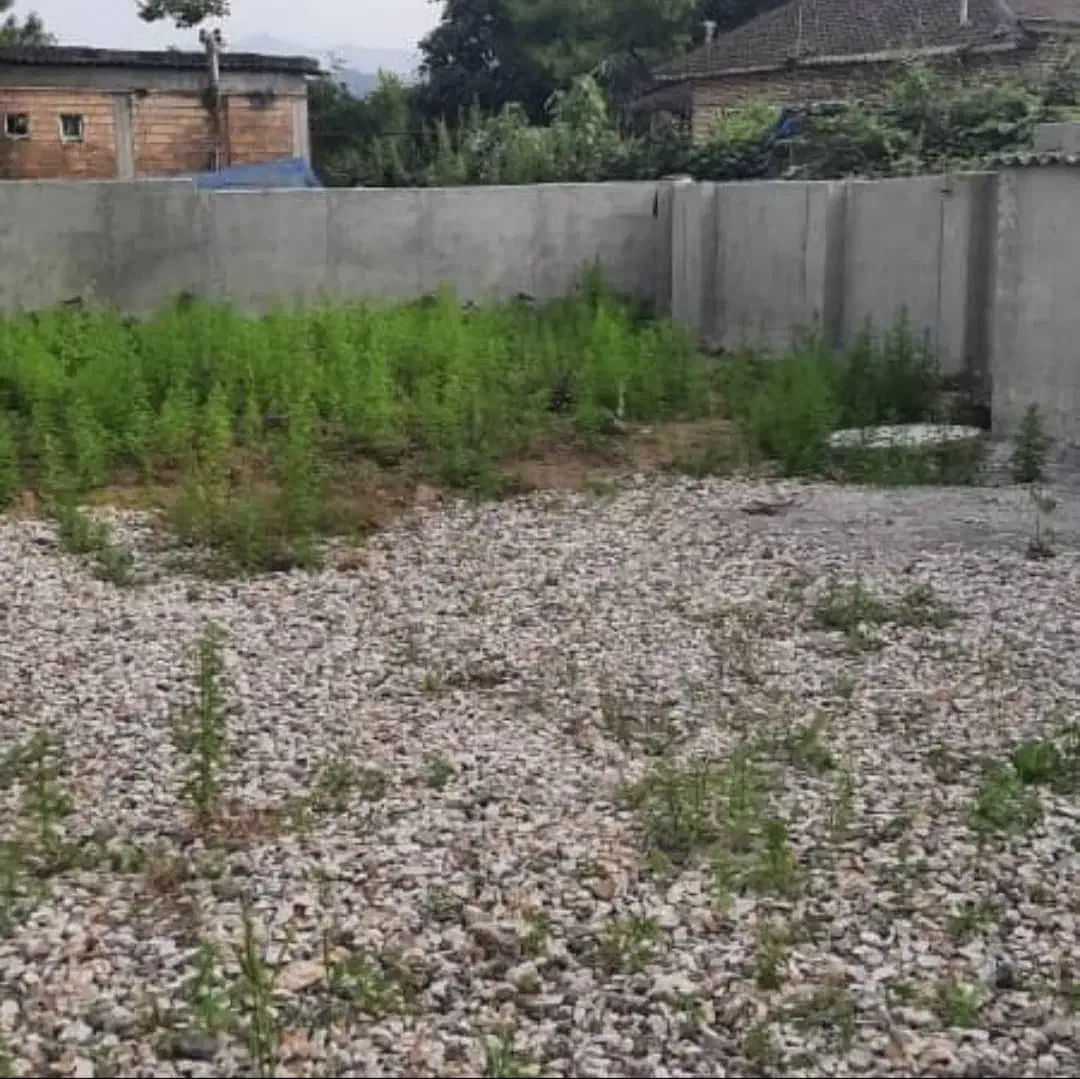 زمین در پلاسی|فروش زمین و ملک کلنگی|چوبر, |دیوار